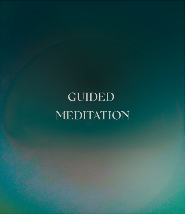 Guided Meditation